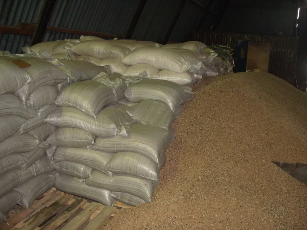 пшеница фуражная фасовка в мешок в Самаре