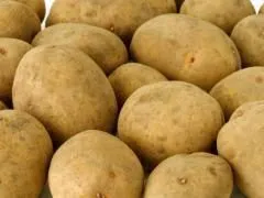 фотография продукта Семенной картофель в Тамбовкой области