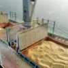 экспортные поставки пшеницы на экспорт в Самаре