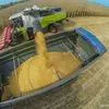 кукуруза фуражная на экспорт  в Самаре 2