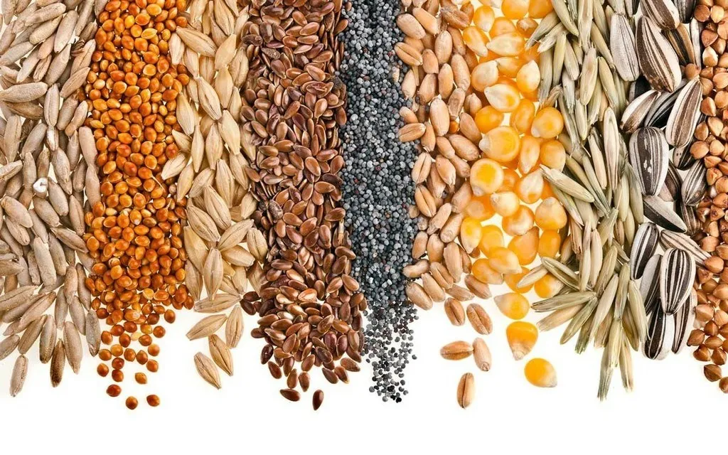 фотография продукта Пшеницу 