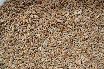 пшеница фуражная фасовка в мешок в Самаре 2