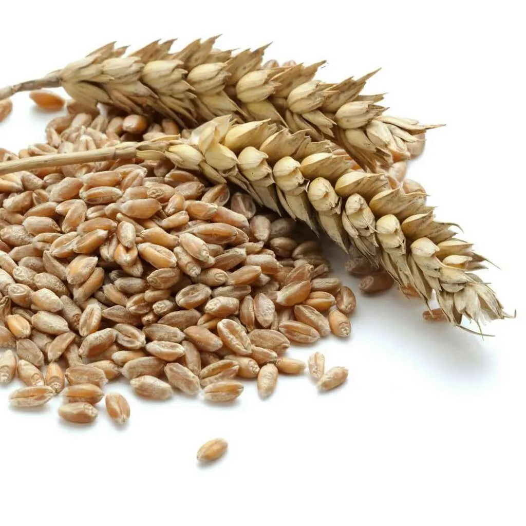 фотография продукта Пшеница 5 класс 500 тонн