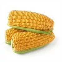 фотография продукта Кукуруза 2 класса